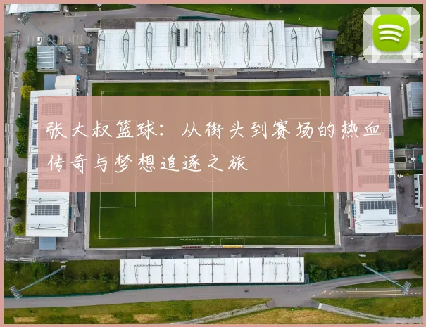 张大叔篮球：从街头到赛场的热血传奇与梦想追逐之旅