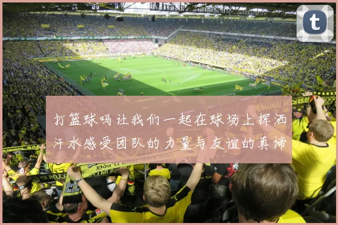 打篮球吗让我们一起在球场上挥洒汗水感受团队的力量与友谊的真谛