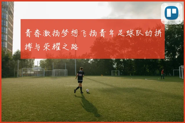 青春激扬梦想飞扬青年足球队的拼搏与荣耀之路