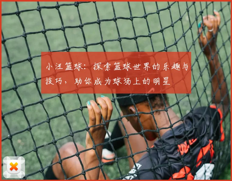 小汪篮球：探索篮球世界的乐趣与技巧，助你成为球场上的明星