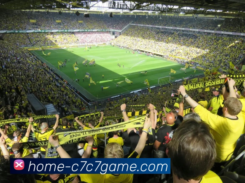 c7品牌APP 体育赛事宣传图